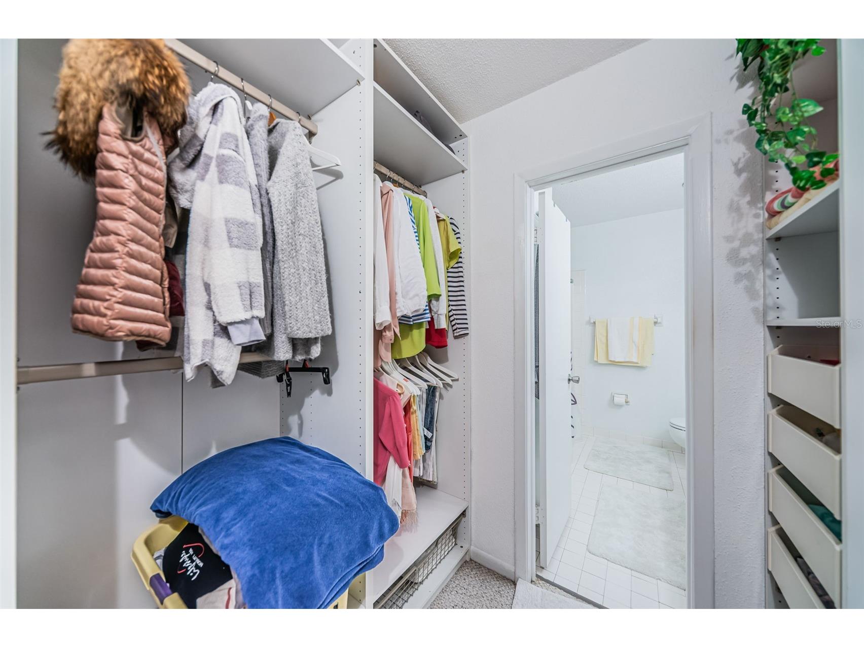 10365 Paradise Boulevard #16 Treasure Island FL 33706 TB8525558 image24