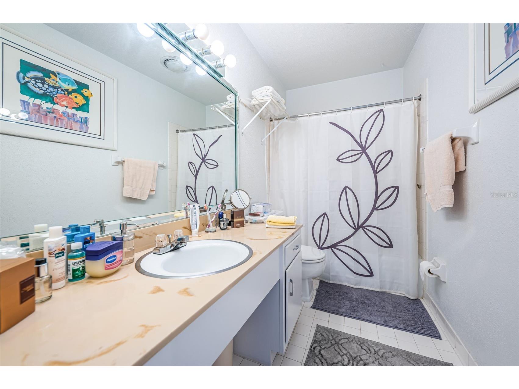 10365 Paradise Boulevard #16 Treasure Island FL 33706 TB8525558 image27