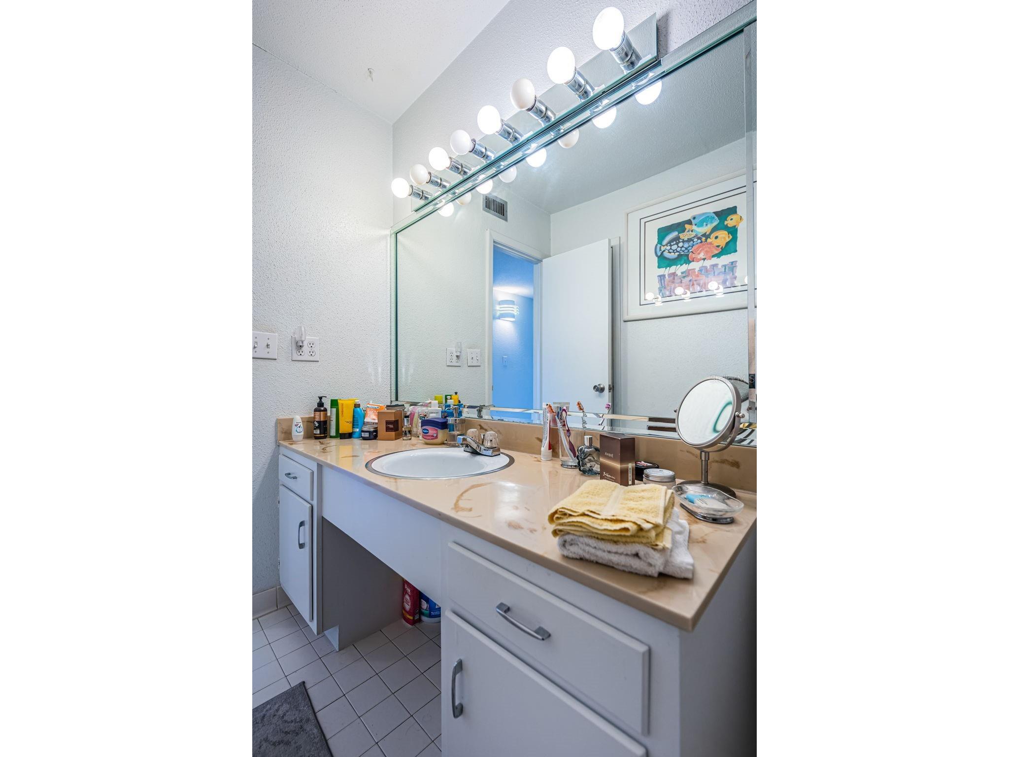 10365 Paradise Boulevard #16 Treasure Island FL 33706 TB8525558 image28