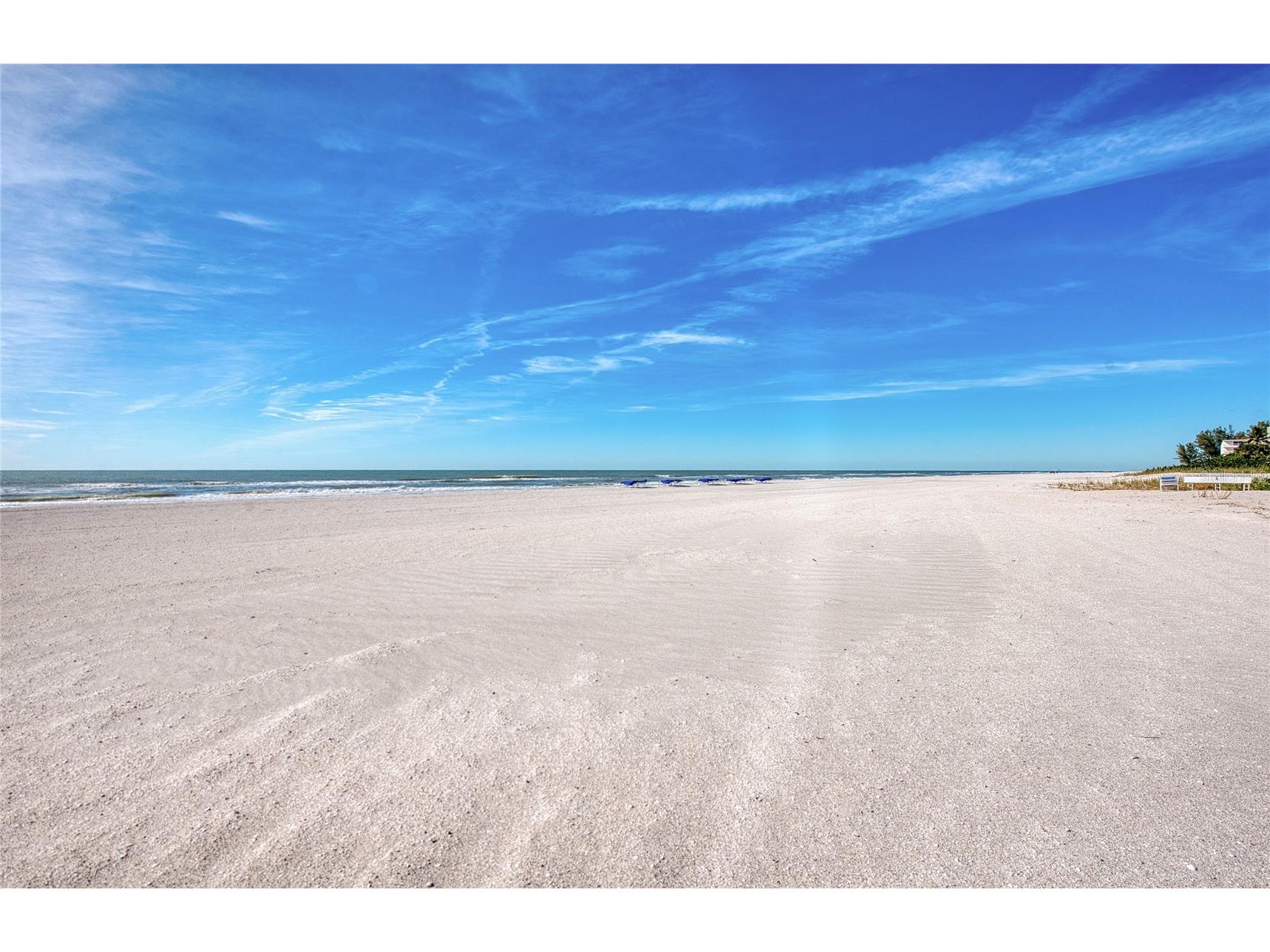 10365 Paradise Boulevard #9 Treasure Island FL 33706 TB8501562 image25