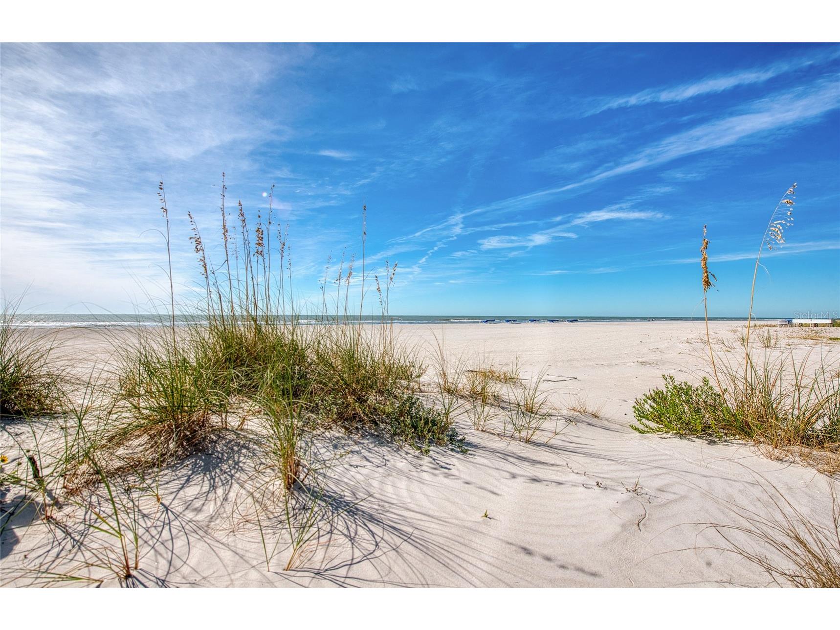 10365 Paradise Boulevard #9 Treasure Island FL 33706 TB8501562 image26