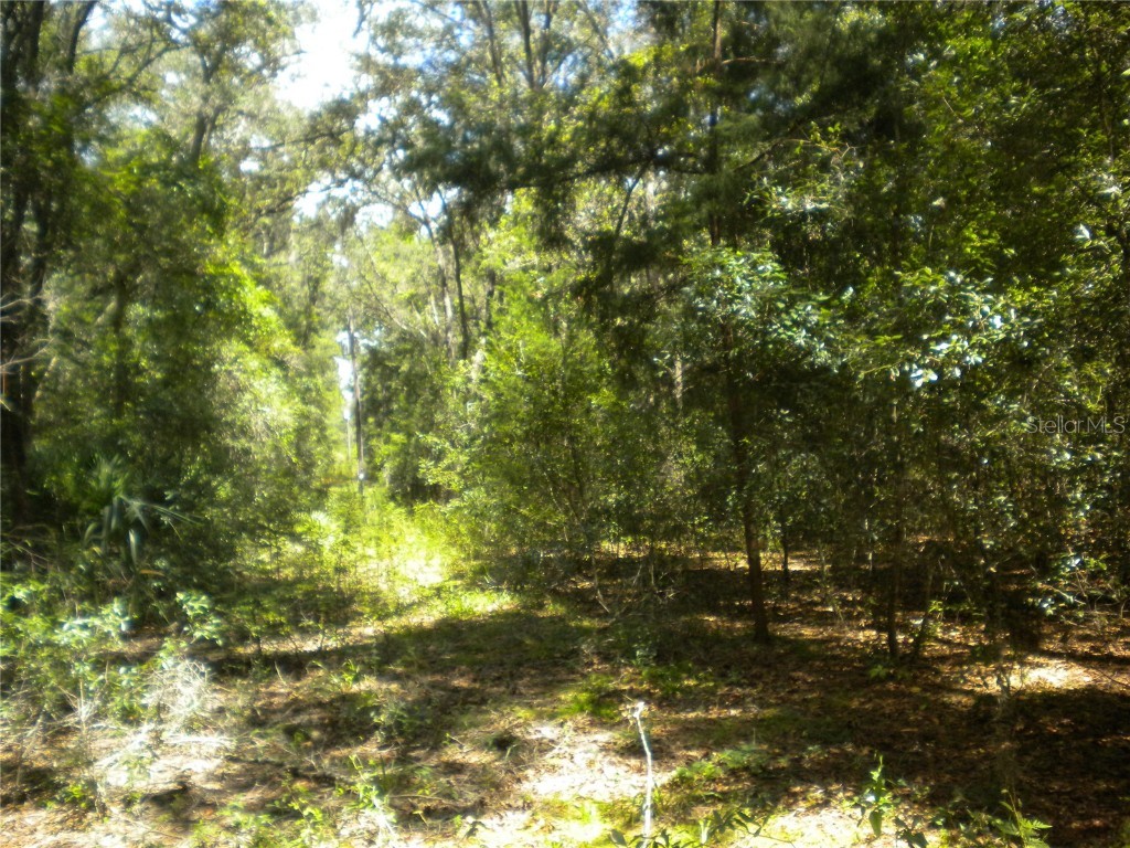 10366 N Burgundy Point Dunnellon FL 34433 OM684940 image1