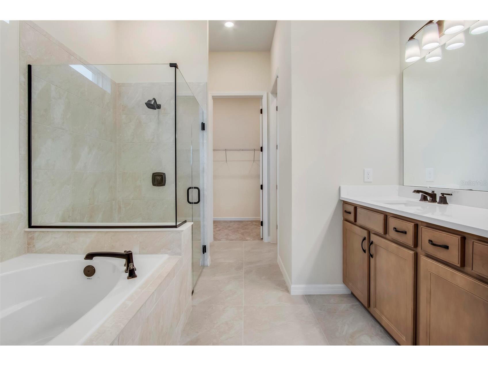 10366 Parkview Reserve Lane Orlando FL 32836 O6368877 image6
