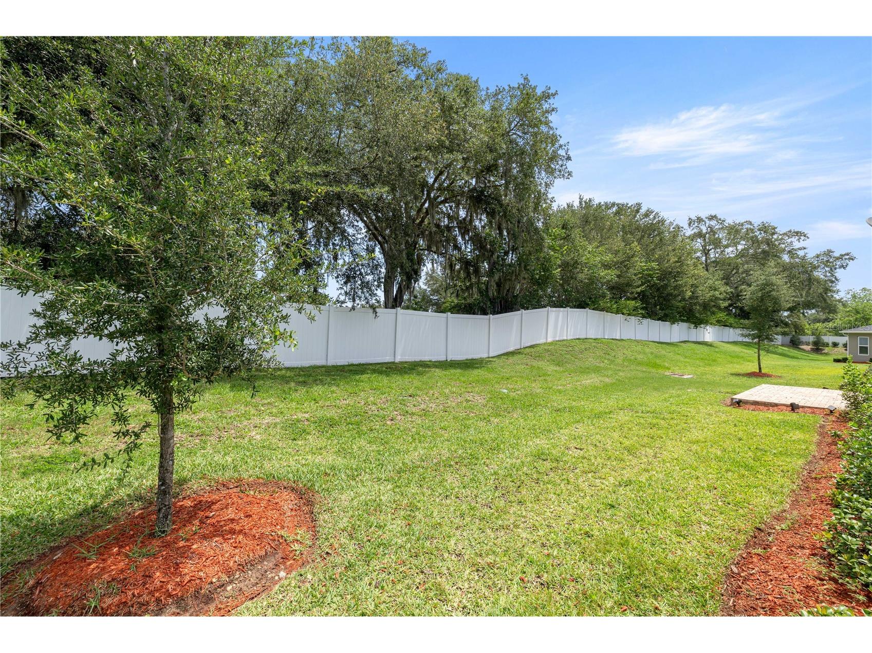 10367 Addison Shore Way Oxford FL 34484 OM725939 image34