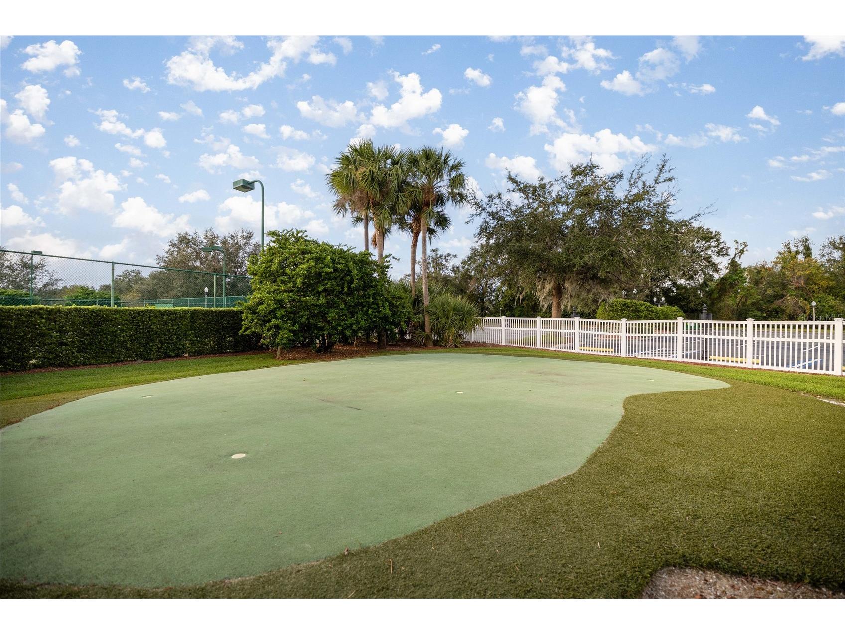 10367 Addison Shore Way Oxford FL 34484 OM725939 image46