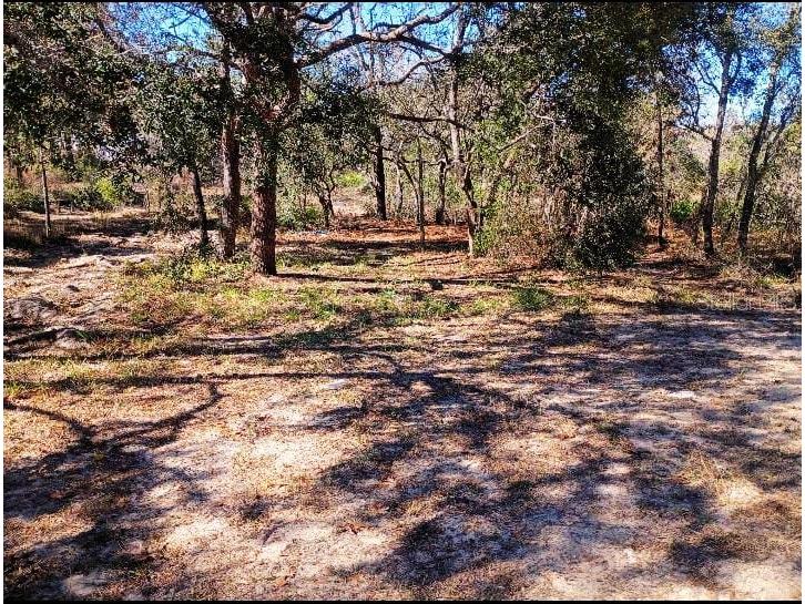 10367 Flycatcher Road Brooksville FL 34613 O6375576 image9