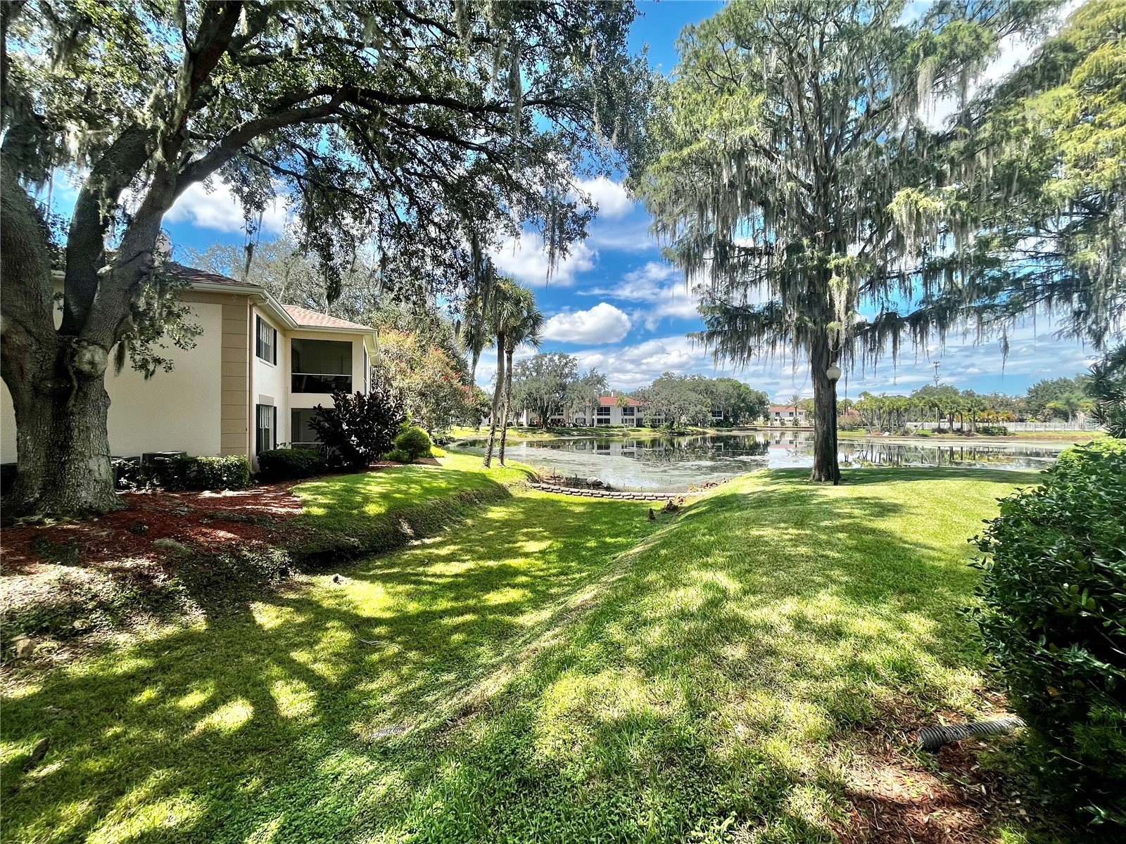 10368 Carrollwood Lane #234 Tampa FL 33618 TB8475313 image28
