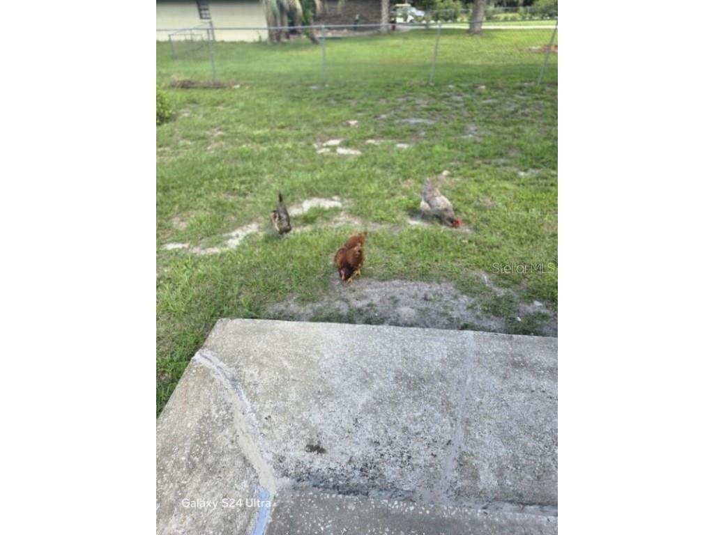 1037 Collins Avenue Orange City FL 32763 V4944901 image54