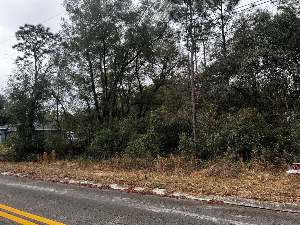 1037 Dartmouth Terrace Inverness FL 34452 O6175577 image1
