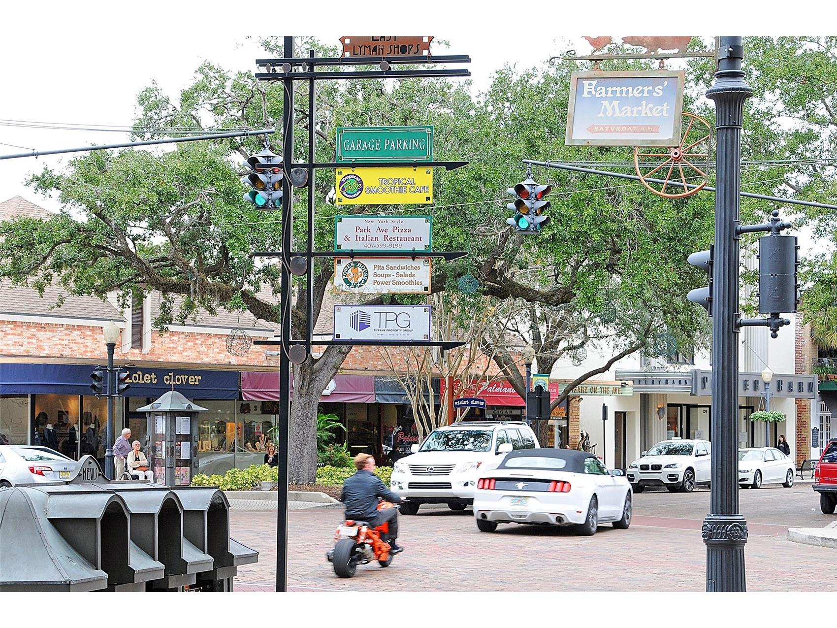 1037 N Virginia Avenue Winter Park FL 32789 O6419694 image33