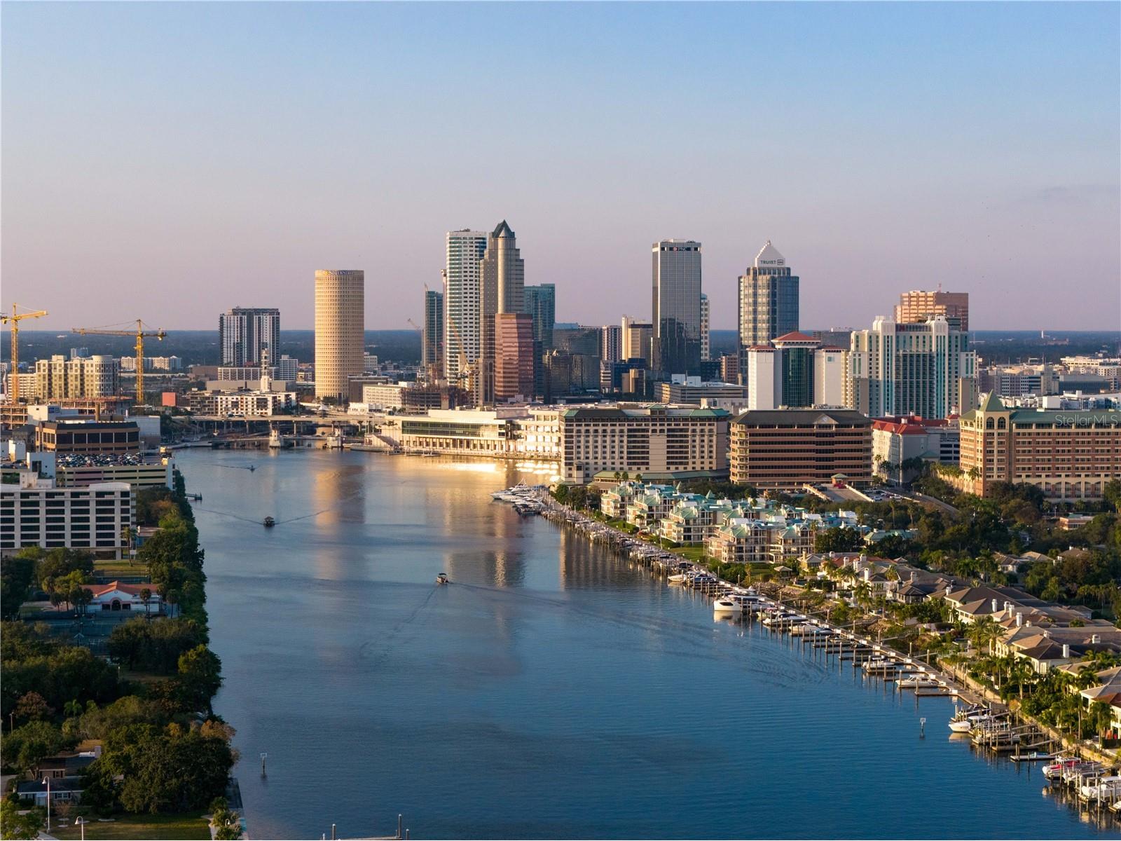 1037 Royal Pass Road Tampa FL 33602 - SEDDON CHANNEL TB8450997 image4