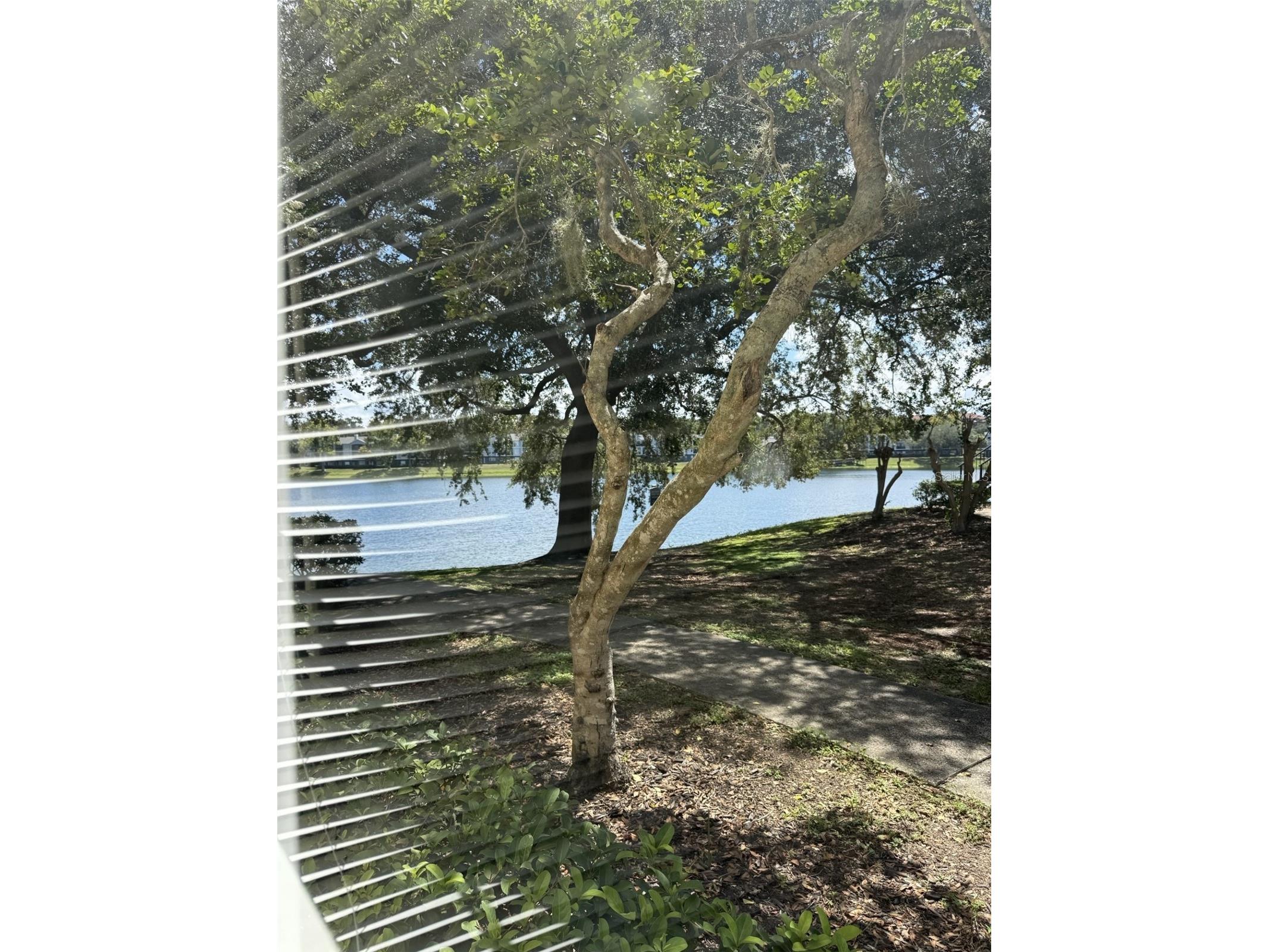 1037 S Hiawassee Road #2817 Orlando FL 32835 O6421925 image15