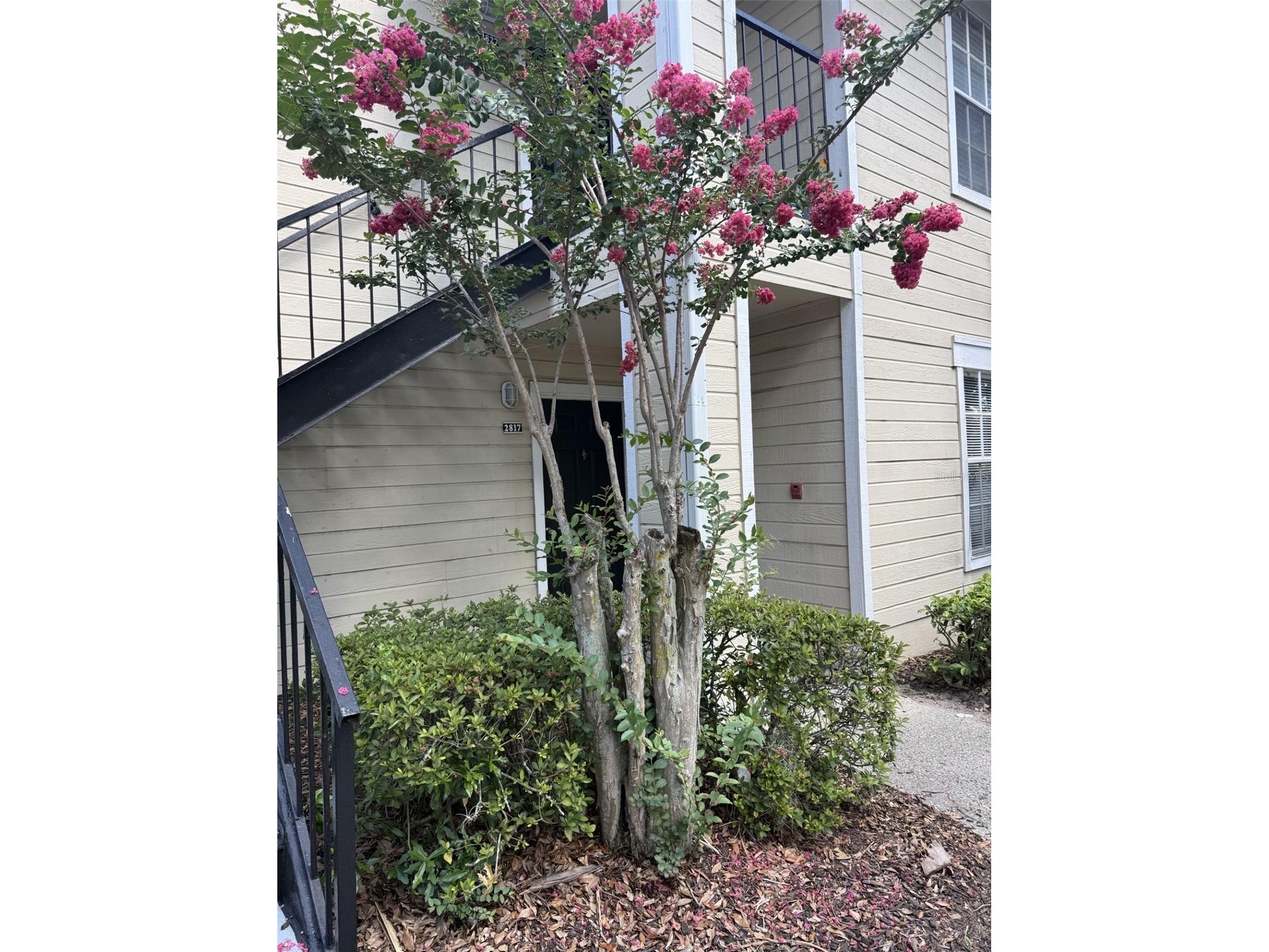 1037 S Hiawassee Road #2817 Orlando FL 32835 O6421925 image2
