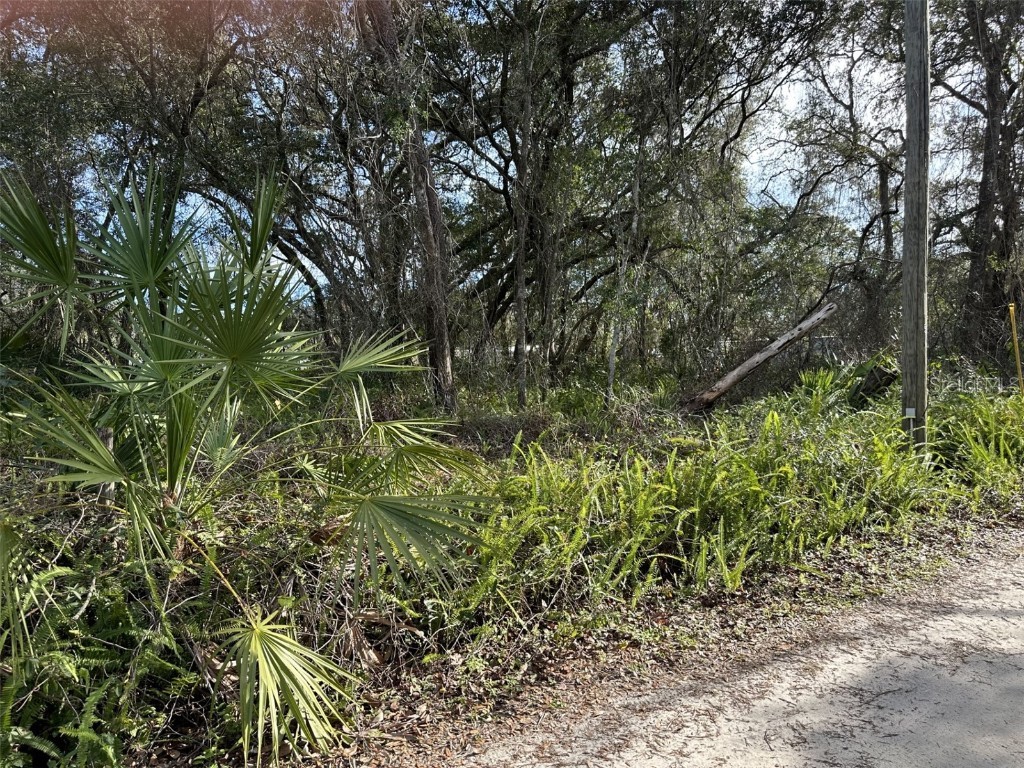 1037 SE 172nd Avenue Silver Springs FL 34488 OM671377 image1