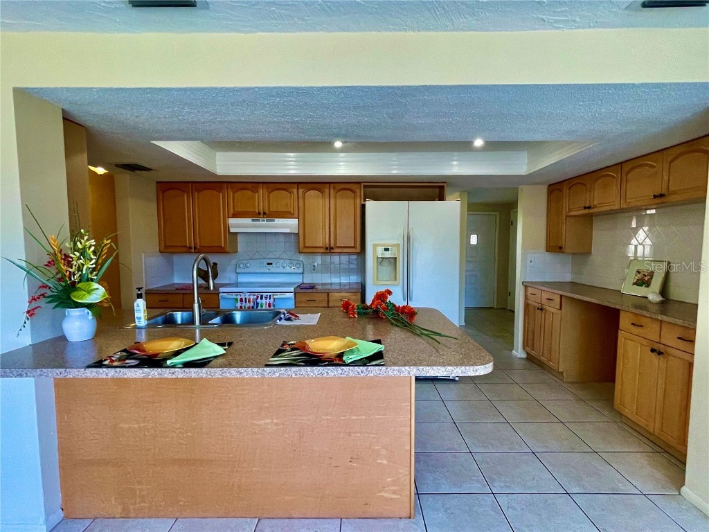 1037 Tamarac Drive Holiday FL 34690 TB8413647 image9