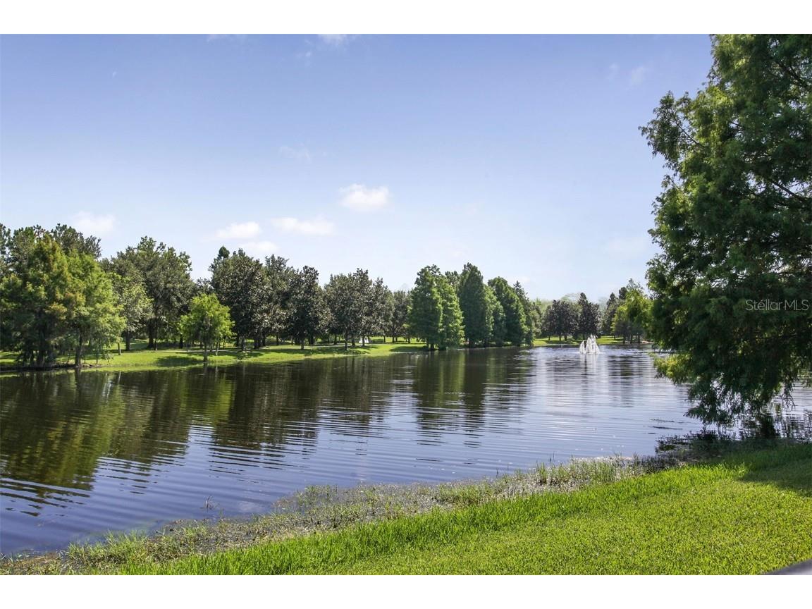 10372 Kensington Shore Drive Orlando FL 32827 - LAKE NONA O6341775 image39