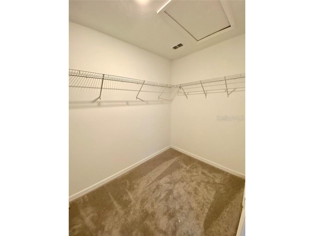 10373 Lavender Aster Trail San Antonio FL 33576 - MIRADA LAGOON TB8456209 image21