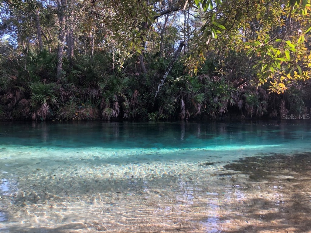 10373 Marvista Court Weeki Wachee FL 34614 W7879798 image44