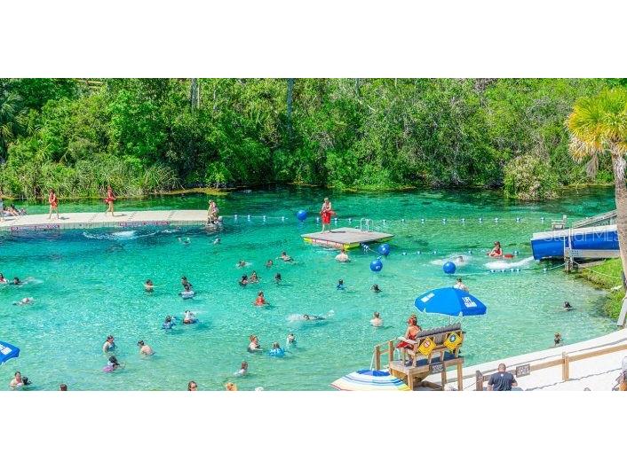 10373 Marvista Court Weeki Wachee FL 34614 W7879798 image46