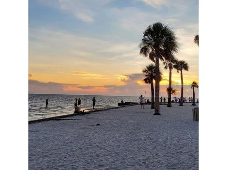 10373 Marvista Court Weeki Wachee FL 34614 W7879798 image48