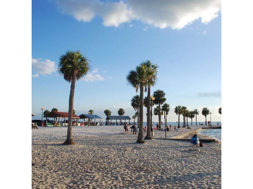 10373 Marvista Court Weeki Wachee FL 34614 W7879798 image49