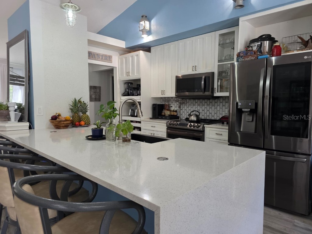 10373 Marvista Court Weeki Wachee FL 34614 W7879798 image6