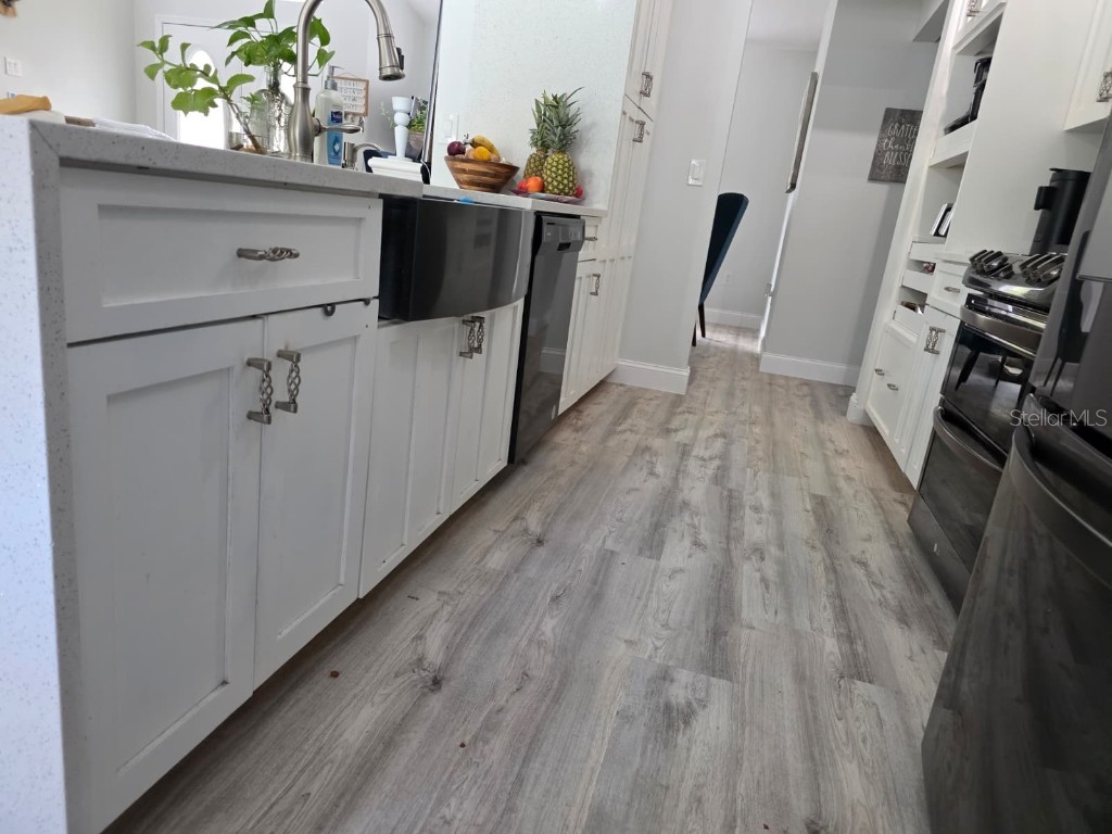 10373 Marvista Court Weeki Wachee FL 34614 W7879798 image7