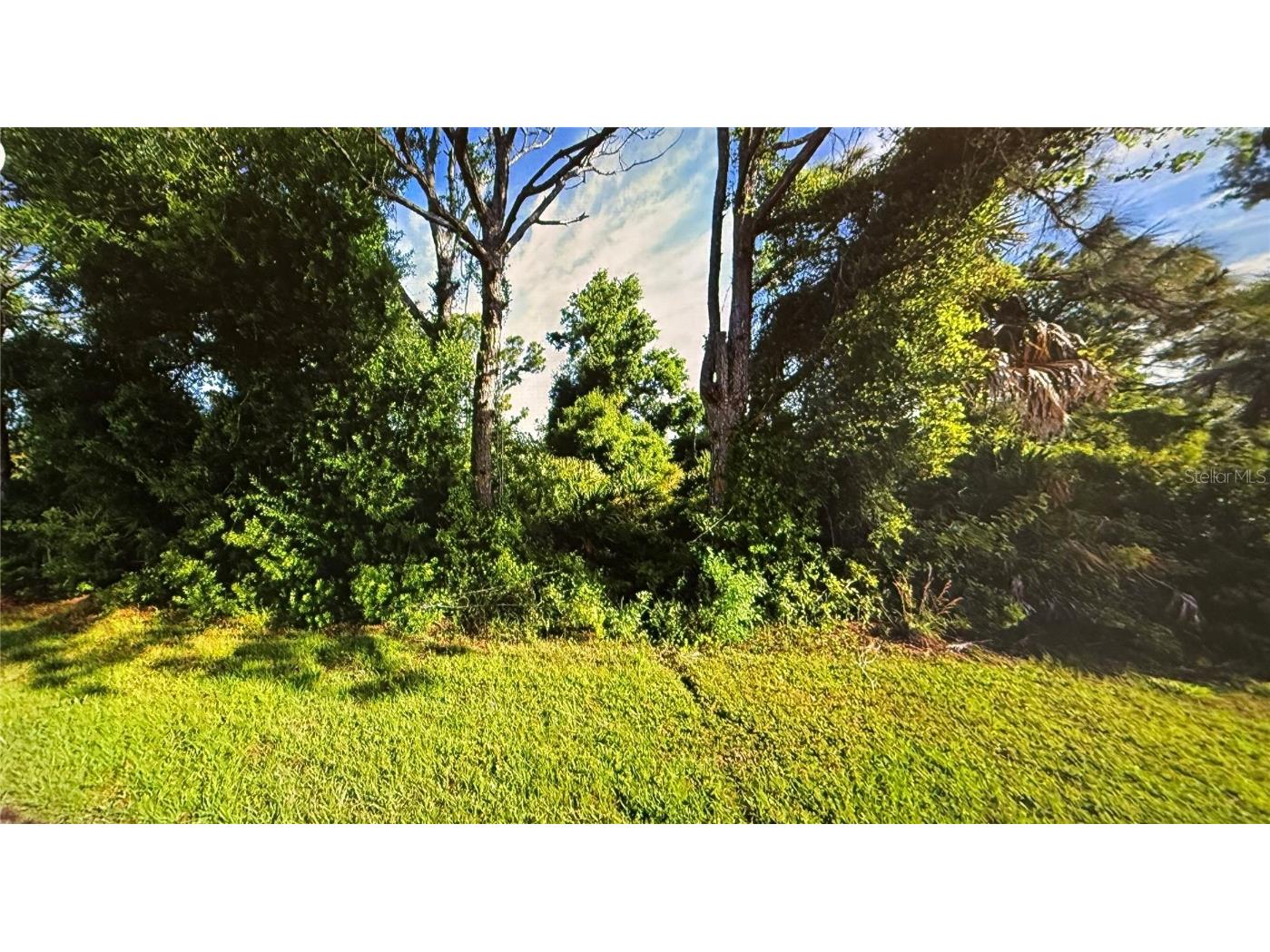 10374 Deerwood Avenue Englewood FL 34224 A4648726 image1