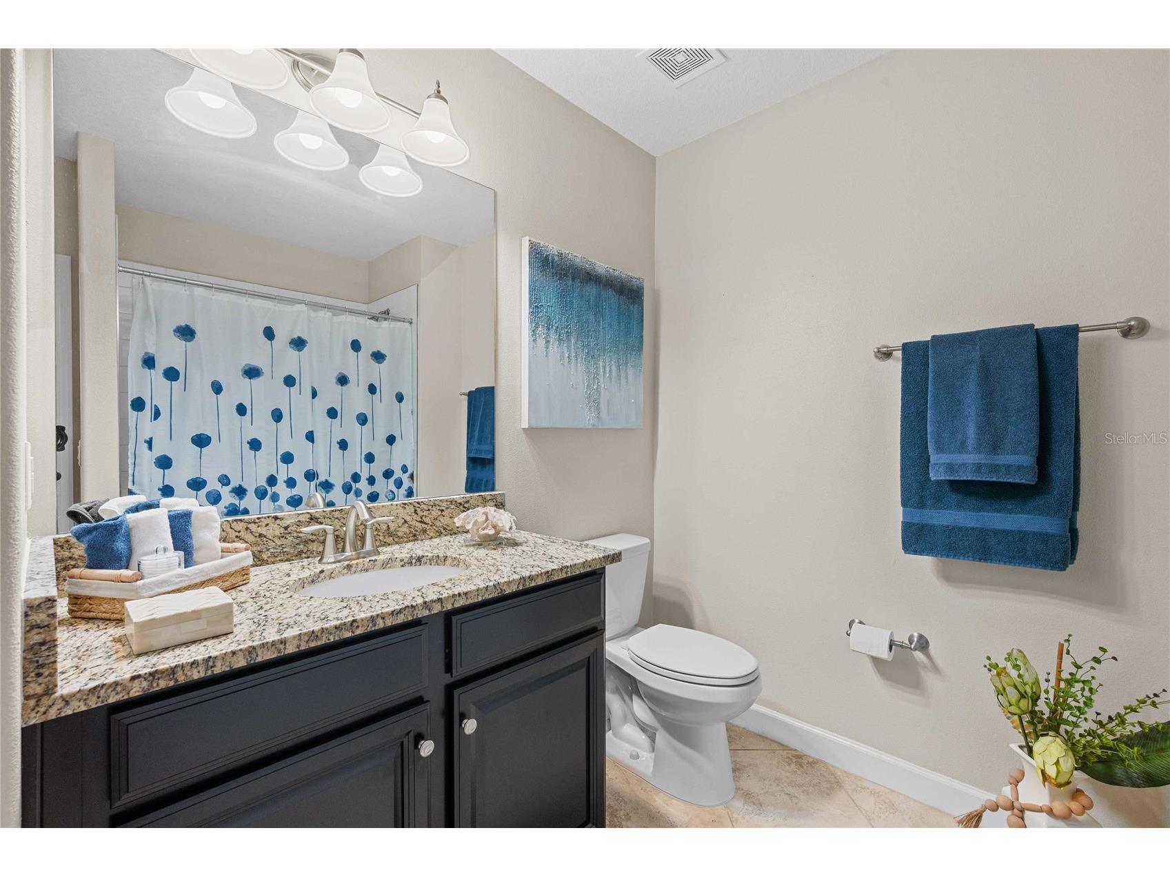 10374 Echo Dock Loop San Antonio FL 33576 TB8483242 image23