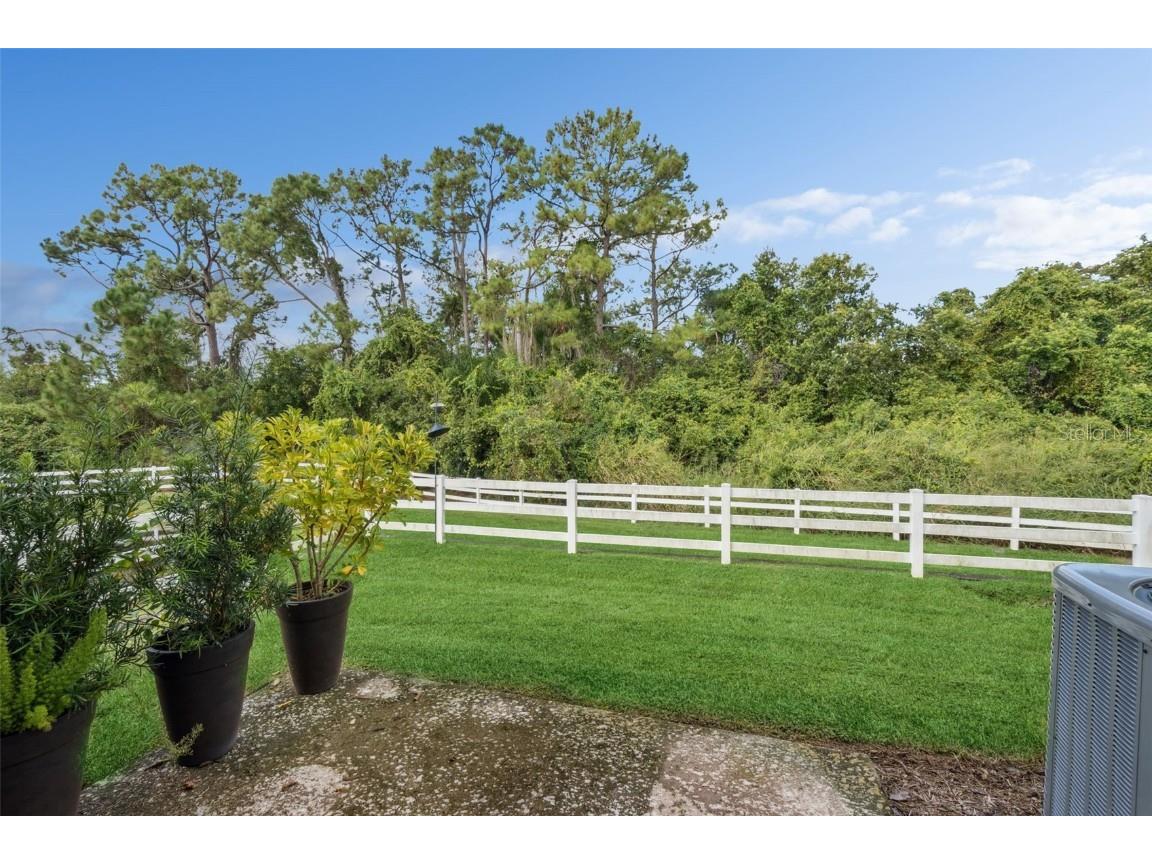 10376 Fallsgrove Street Orlando FL 32836 O6350129 image33