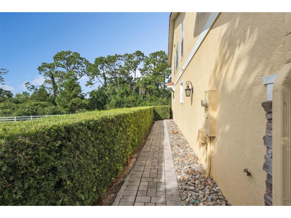 10376 Fallsgrove Street Orlando FL 32836 O6350129 image37