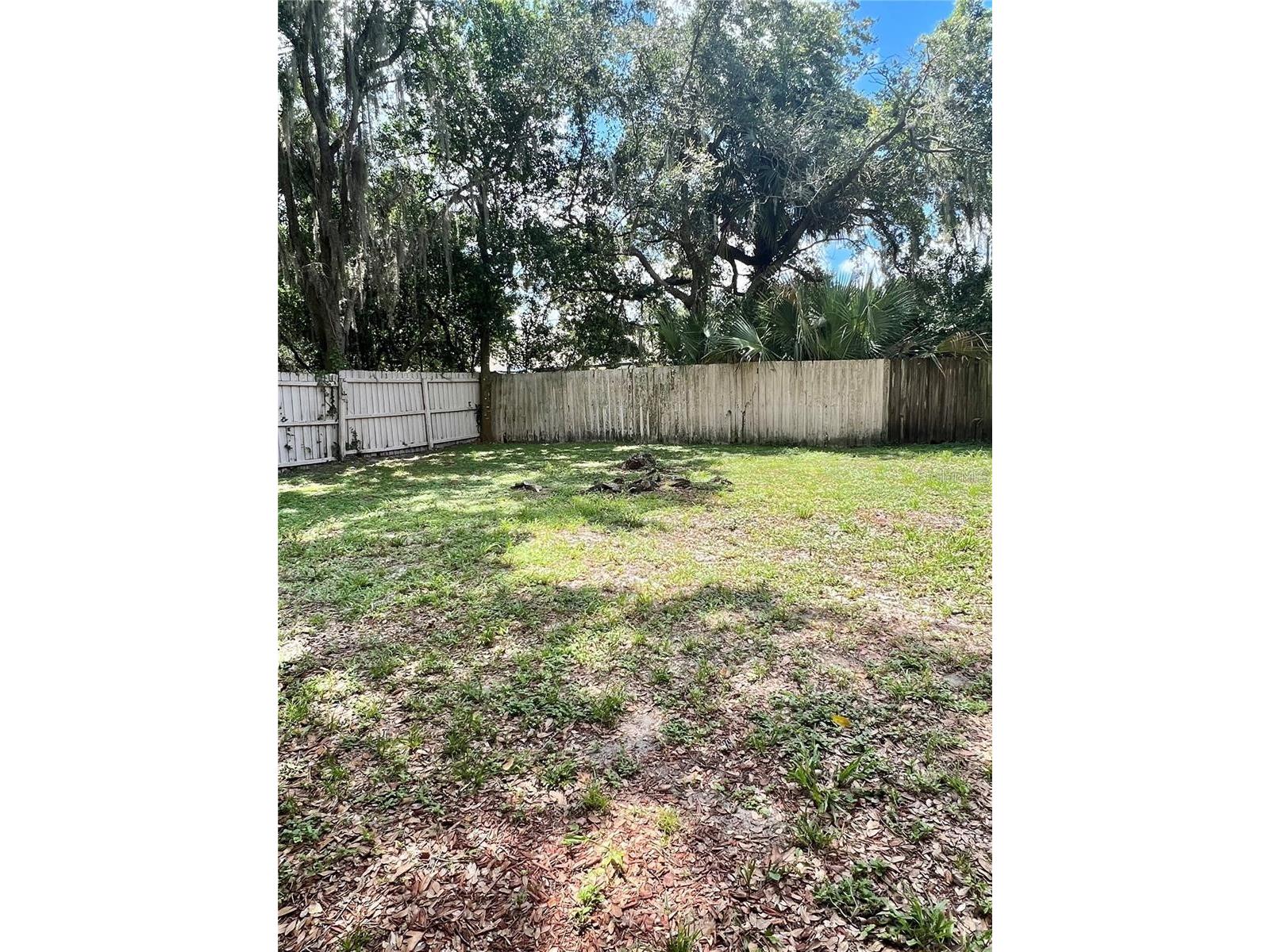 10376 Riva Ridge Trail Orlando FL 32817 O6398837 image6