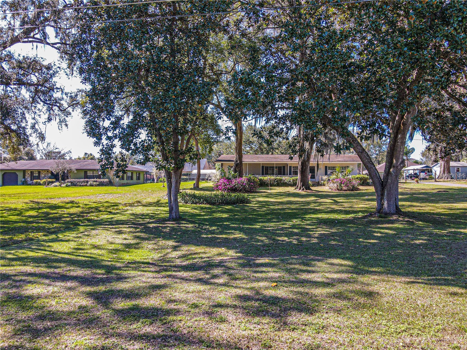 10376 SE 43rd Court Belleview FL 34420 OM720082 image1