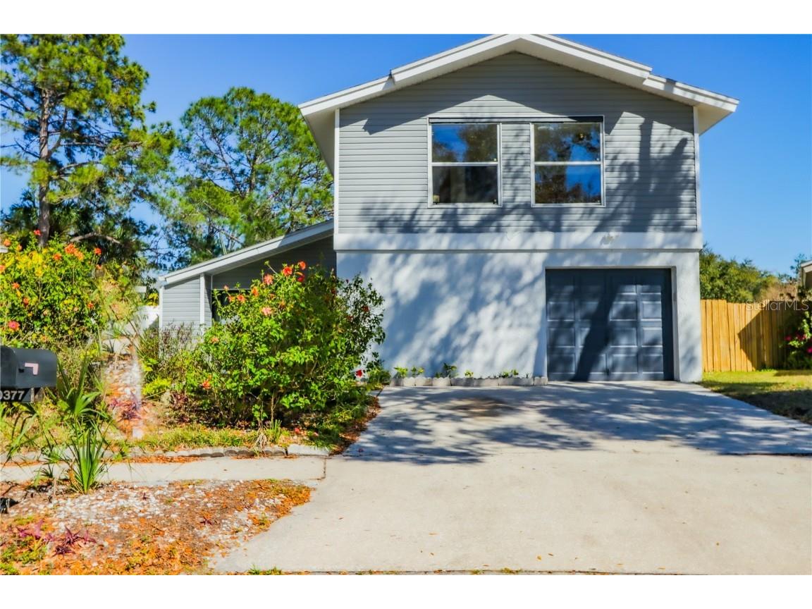 10377 Chadbourne Drive Tampa FL 33624 T3494384 image1