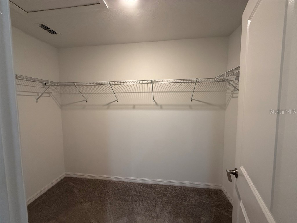 10377 Lavender Aster Trail San Antonio FL 33576 TB8439270 image19