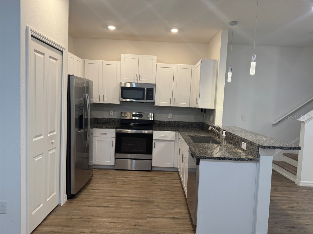 10377 Lavender Aster Trail San Antonio FL 33576 TB8439270 image7