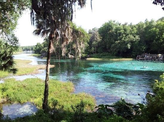 10377 SW 186th Avenue Dunnellon FL 34432 - RAINBOW RIVER OM717995 image2