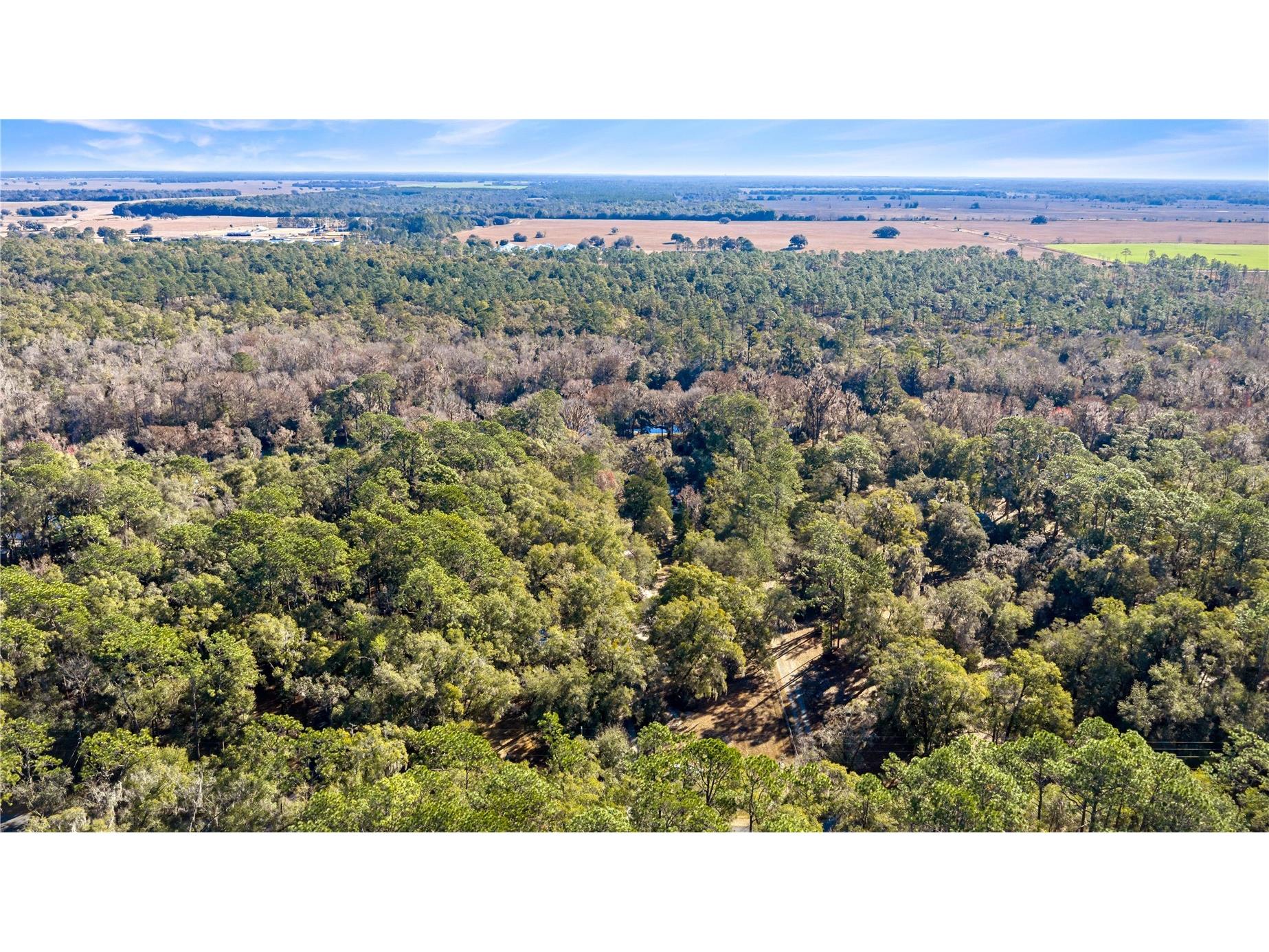 10377 SW 186th Avenue Dunnellon FL 34432 - RAINBOW RIVER OM717995 image38