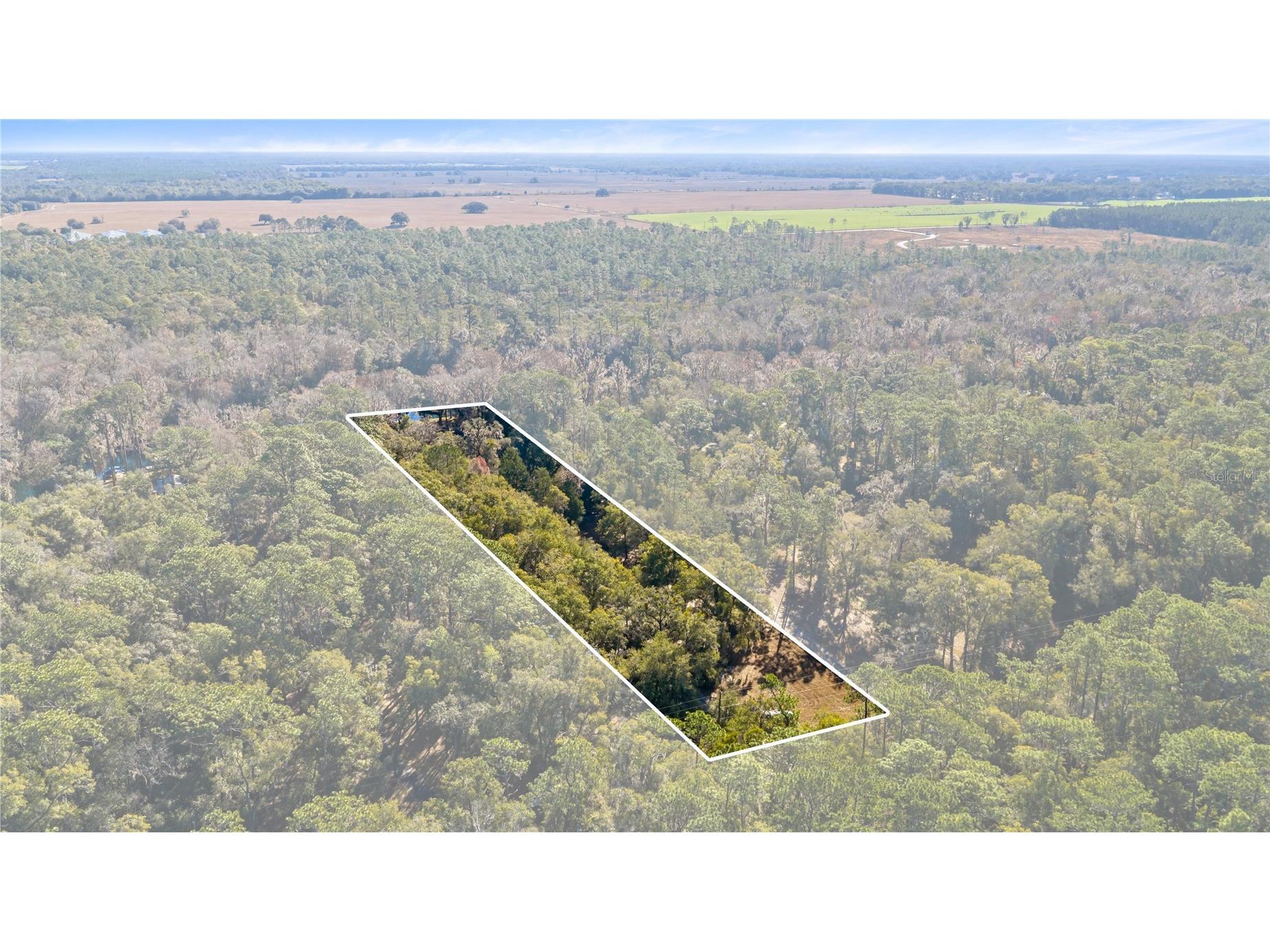 10377 SW 186th Avenue Dunnellon FL 34432 - RAINBOW RIVER OM717995 image4