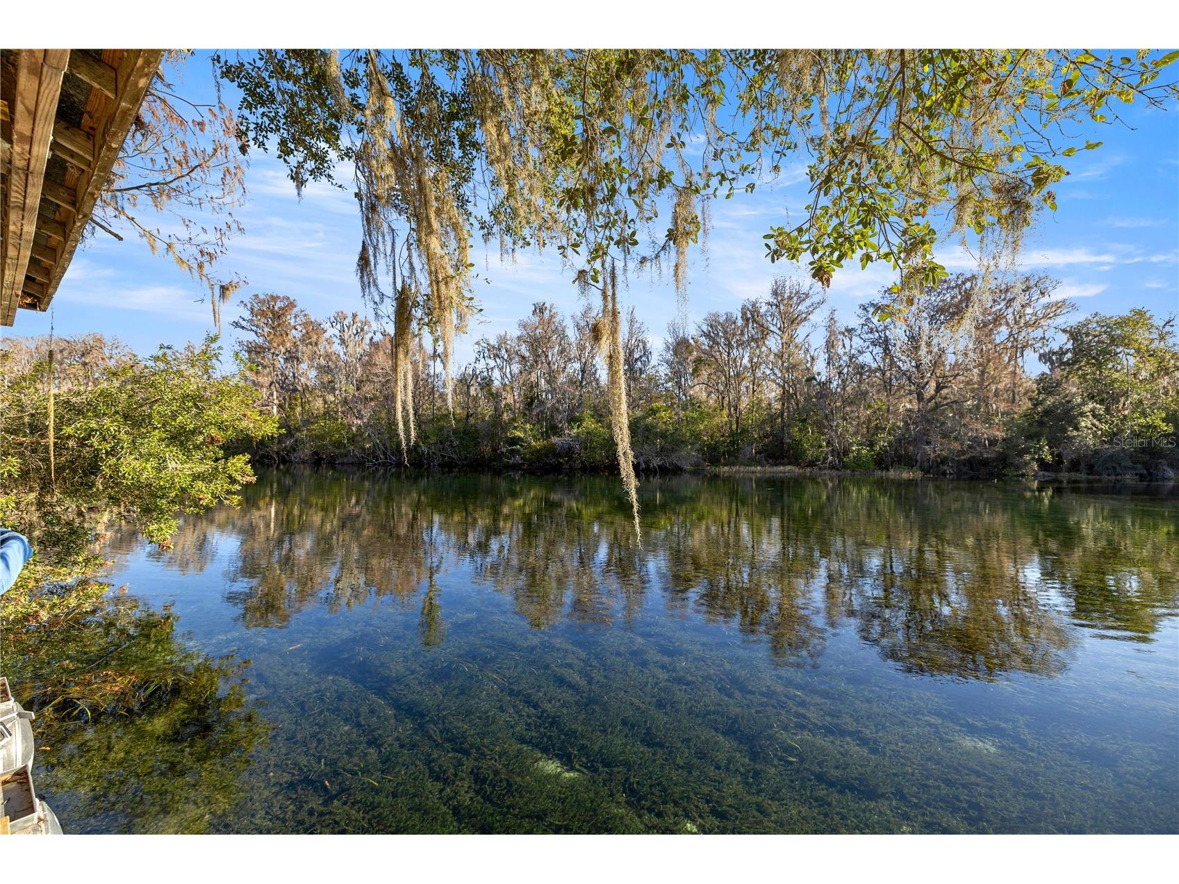 10377 SW 186th Avenue Dunnellon FL 34432 - RAINBOW RIVER OM717995 image43