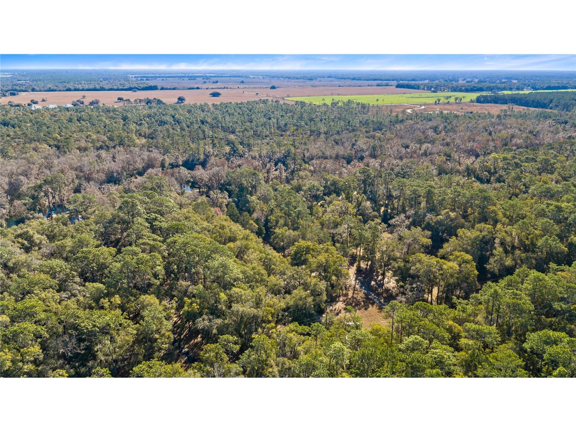 10377 SW 186th Avenue Dunnellon FL 34432 - RAINBOW RIVER OM717995 image45