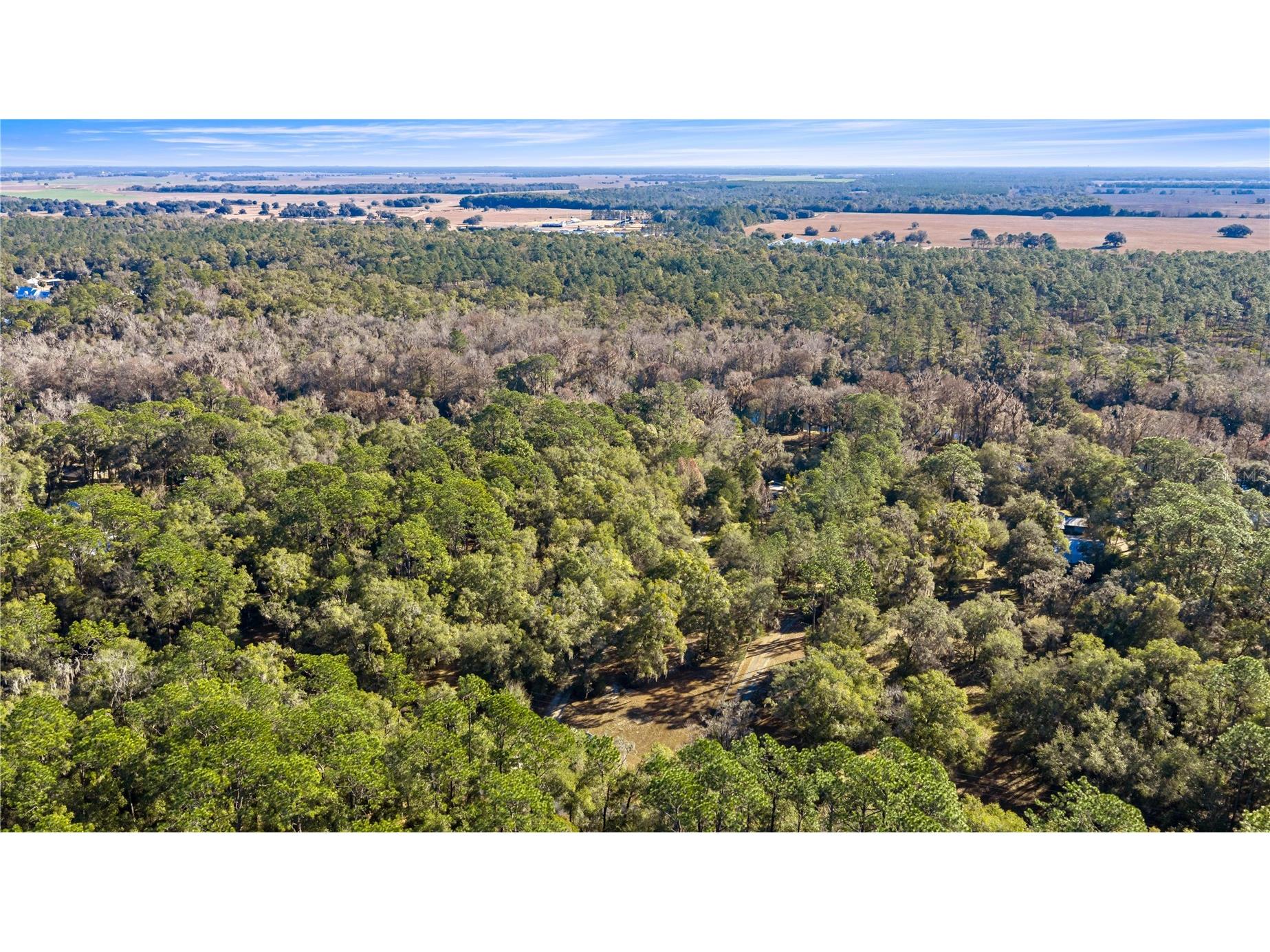 10377 SW 186th Avenue Dunnellon FL 34432 - RAINBOW RIVER OM717995 image46