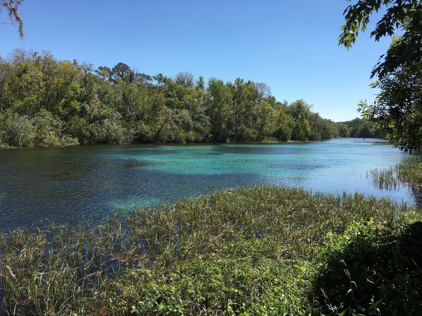 10377 SW 186th Avenue Dunnellon FL 34432 - RAINBOW RIVER OM717995 image58