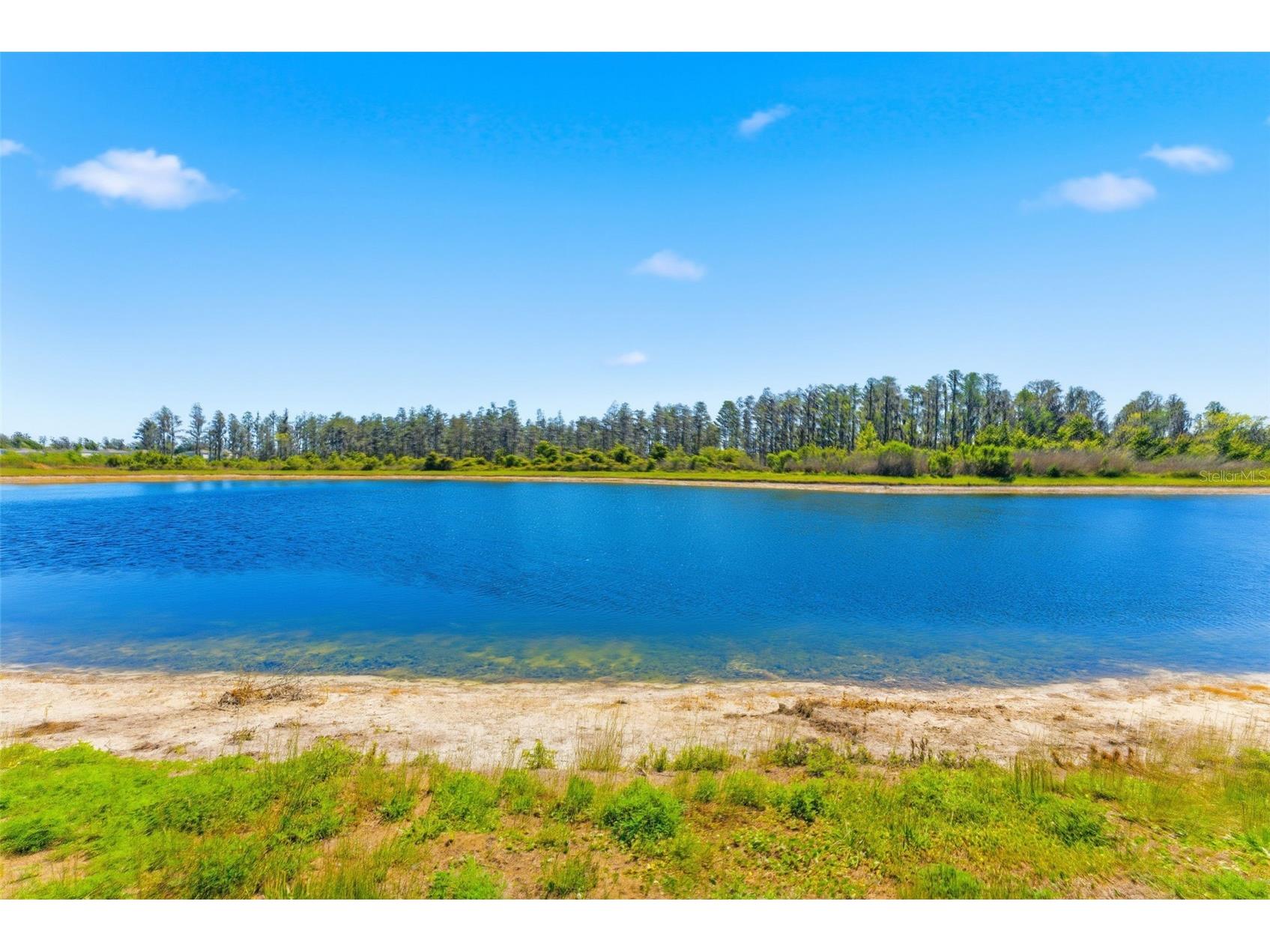 10378 Gliding Eagle Way Land O Lakes FL 34638 TB8493326 image36