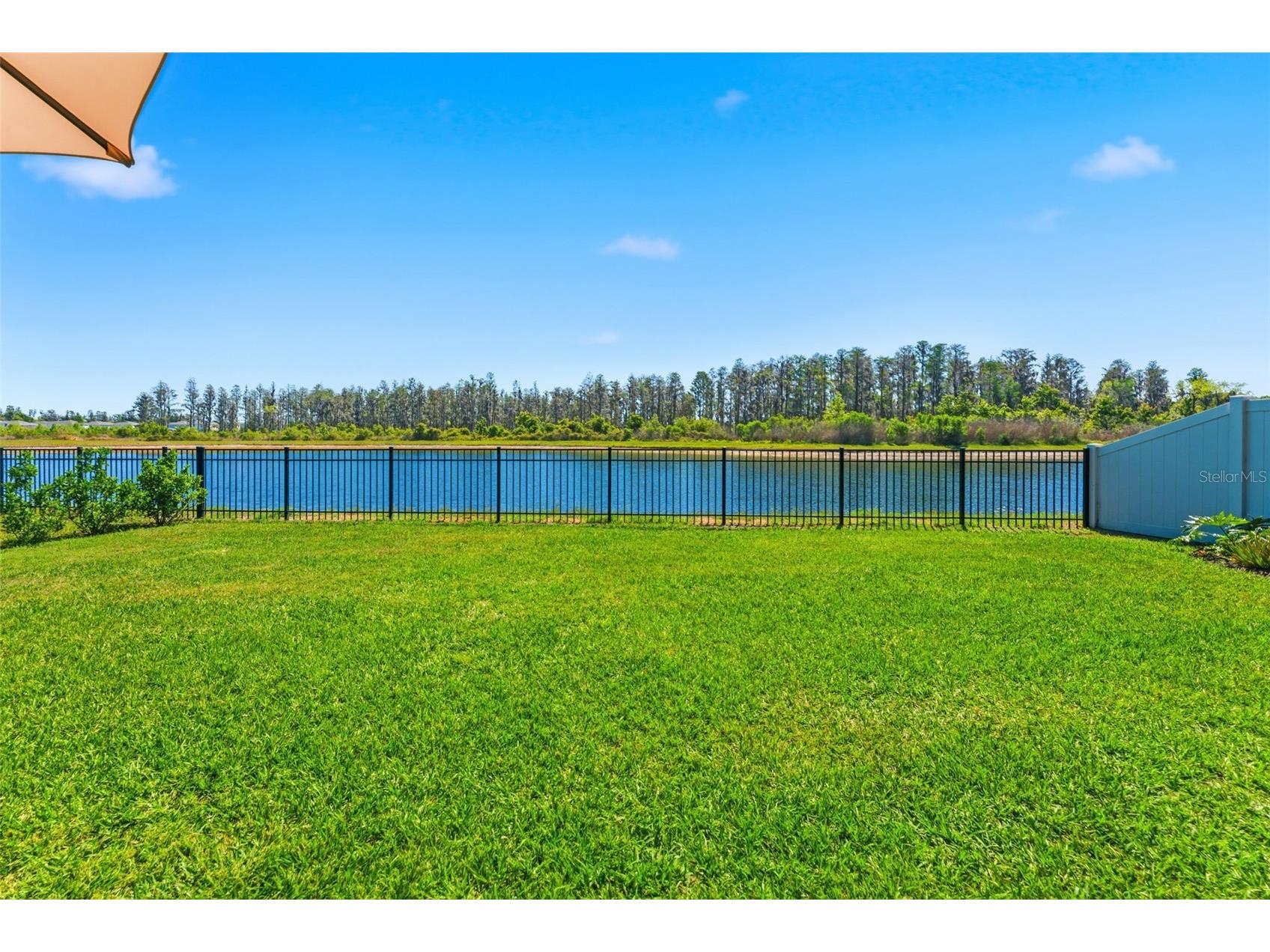 10378 Gliding Eagle Way Land O Lakes FL 34638 TB8493326 image38