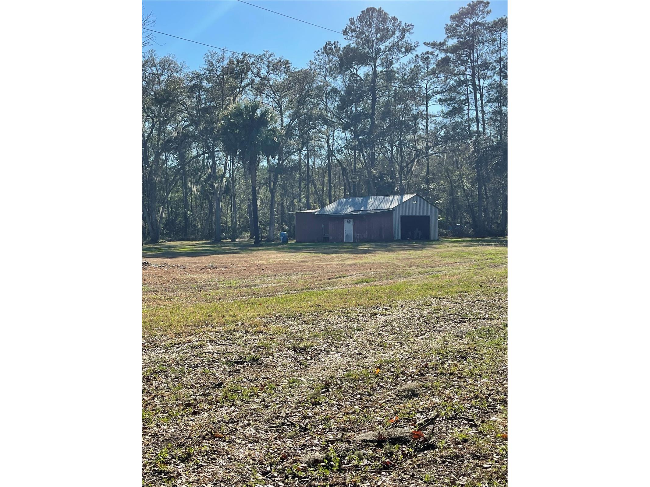 10379 NE Highway 314 Silver Springs FL 34488 S5143718 image3