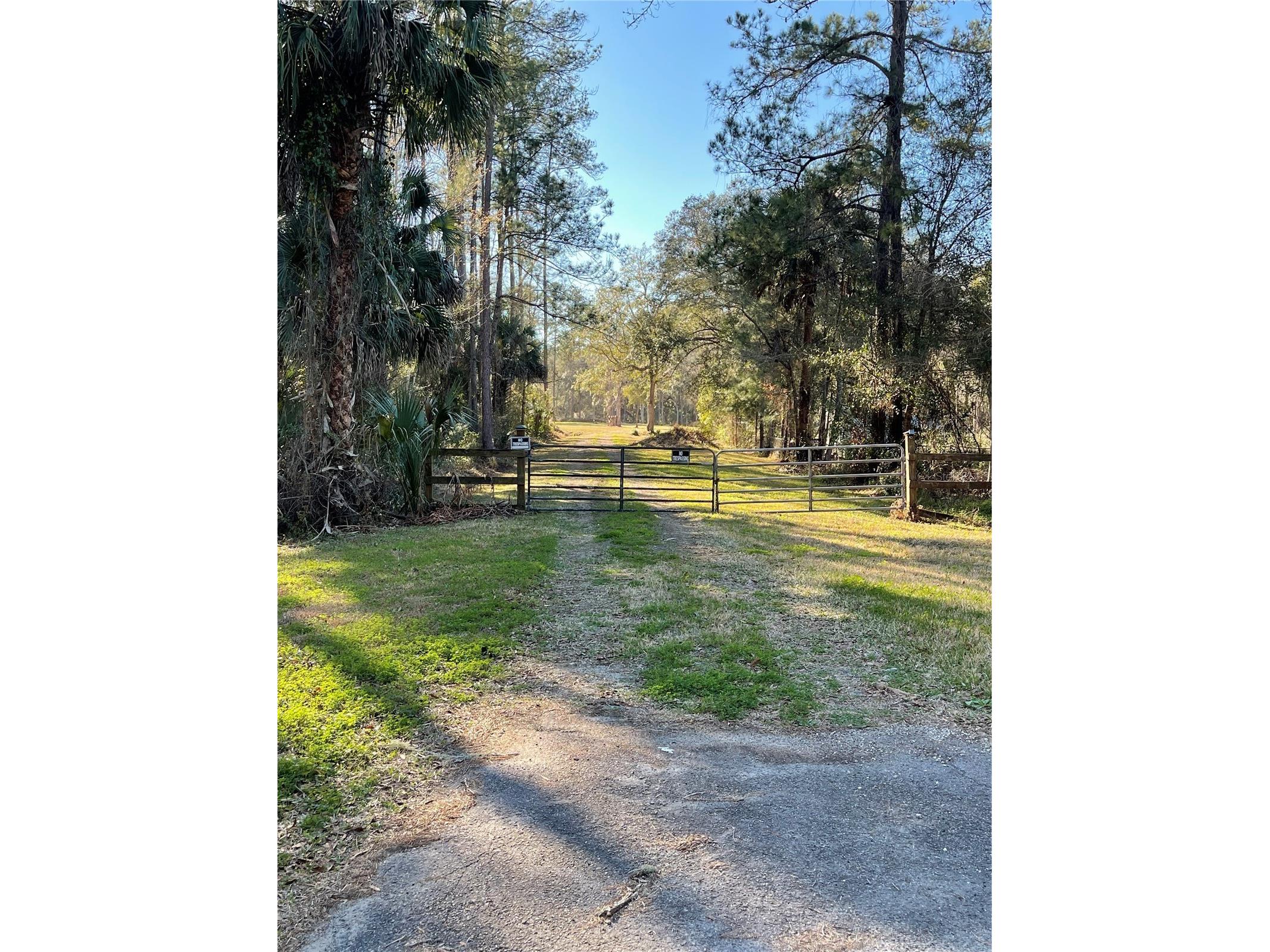 10379 NE Highway 314 Silver Springs FL 34488 S5143718 image4