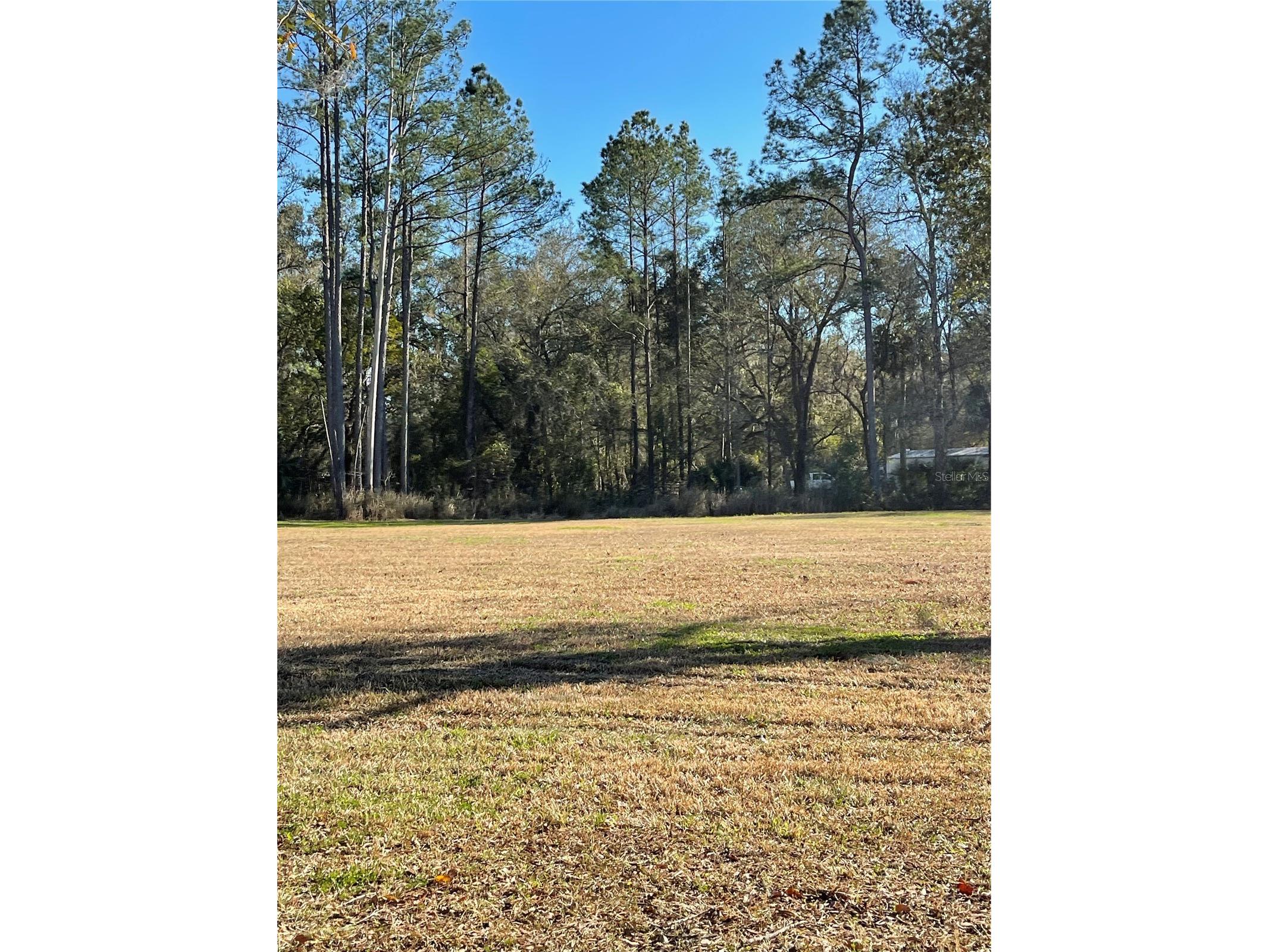 10379 NE Highway 314 Silver Springs FL 34488 S5143718 image5