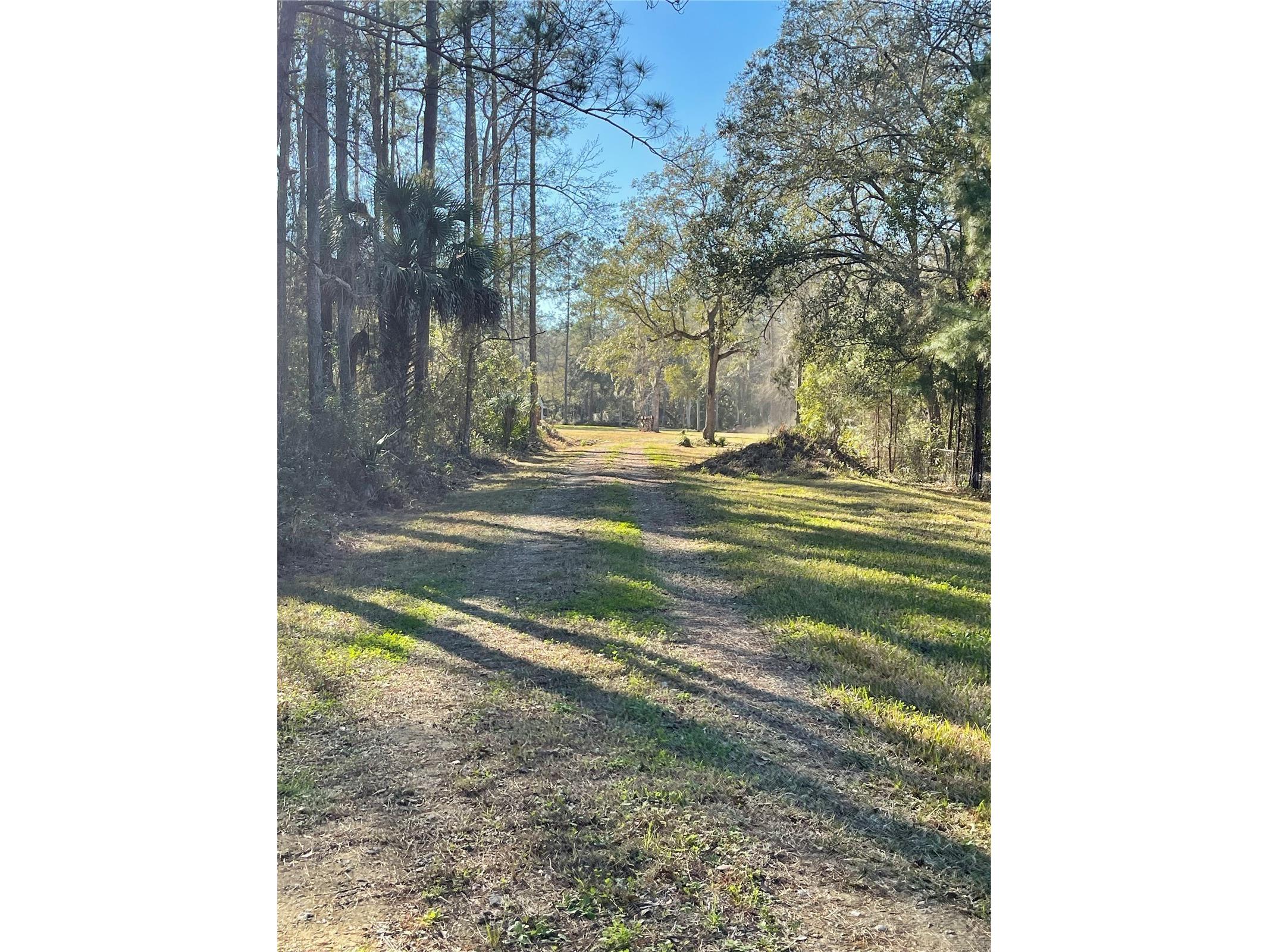 10379 NE Highway 314 Silver Springs FL 34488 S5143718 image6