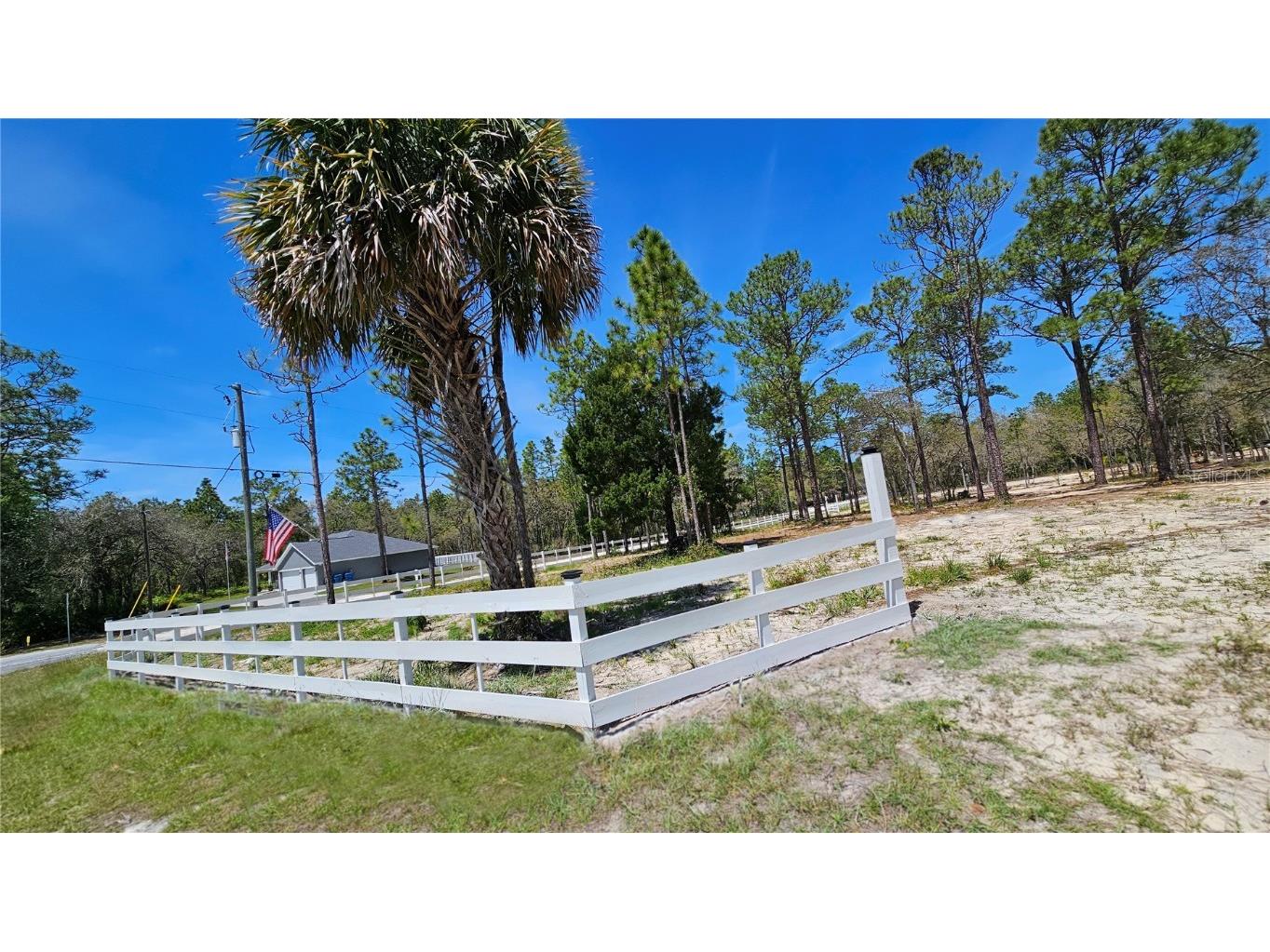 10379 Thrasher Avenue Weeki Wachee FL 34614 TB8361333 image3